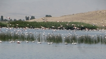 Solduz wetland