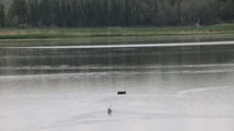 Solduz wetland