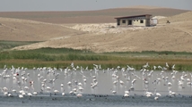 Solduz wetland